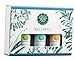Wellness Essential Oil Blend Set | Cold Stopper | Natural Undiluted Therapeutic Grade Oils| for Diffusion Internal or Topical