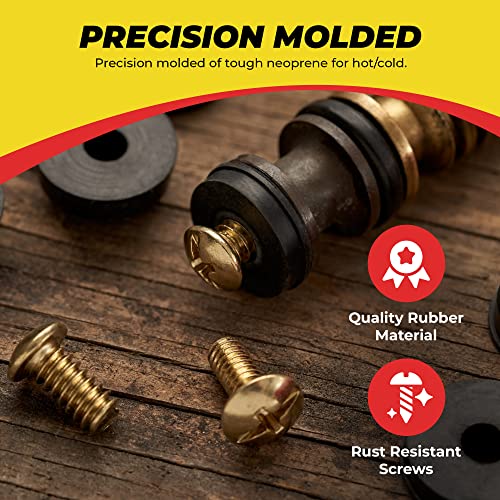 Flat and Beveled Faucet Washers and Brass Bibb Screws Assortment, 48