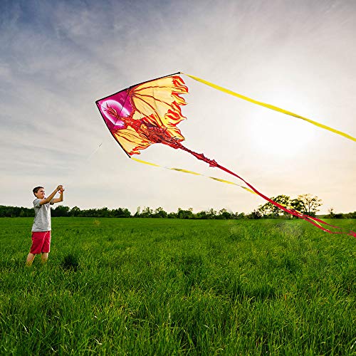 Dragon Kite for Kids Adults, Easy to Fly Best Delta Beach Kite, 300ft