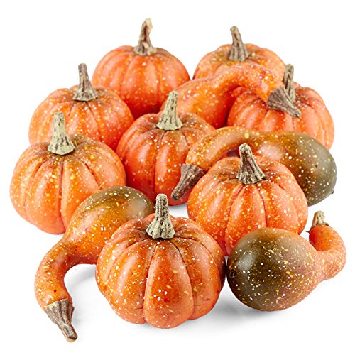 Factory Direct Craft Package of Mixed Artificial Pumpkins and Gourds for Fall Decorating - 12 Pieces
