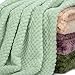 Fuzzy Blanket or Fluffy Blanket for Baby, Soft Warm Cozy Coral Fleece Toddler, Infant or Newborn Receiving Blanket for Crib, Stroller, Travel, Decorative (28Wx40L, XS-Pastel Green)