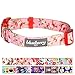 Blueberry Pet Spring Scent Floral Pink Dog Collar, Adjustable X-Small 7.5