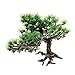 Saim Artificial Pine Tree Plastic Plant Decor for Aquarium Fish Tank Bonsai Ornament Green 5.9″ Heightthumb 1