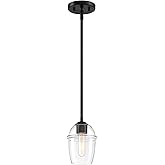 DESIGNERS FOUNTAIN Summer Jazz 60 Watt 1-Light Matte Black Transitional Pendant Light Fixture with Clear Glass Shade, D310M-5