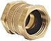 Dixon BA977 Brass Fitting, Swivel, 3/4