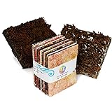 Java Batiks 9 inch Strip Pack Set of 20 Precut Batik Strips CC175