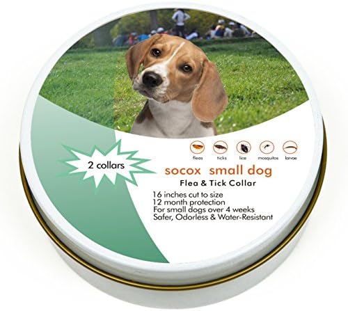2 Natural Grey Collars| Flea and Tick Prevention for Puppies and Small Dogs | Softer, Lighter, Odorless and Water-Resistant | 16 Inches Cut to Size | 12-Month Protection