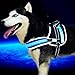 Pet Industries] Reflective LED Dog Harness -USB Rechargeable [Premium Edition] (Available in 5 Sizes) (X-Large (Girth 30 – 40”), Electric Blue)