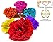 Alondra's Imports Mexican Paper Flowers – Party Decorations, Birthday, Wedding, Carnival, Pom Poms, Floral Backdrop, Fiesta Paper Flowers for Decoration, Flor De Papel, Unique Assorted (6 Pack)