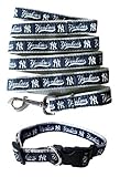 Pets First New York Yankees Nylon Collar and Matching Leash for Pets (MLB Official Size Large