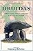 Druidas: Oraculos, Invocaciones y Ritos de Poder--Oracles, Innovations, and Rituals of Power (Spanis by 