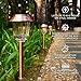 UPSTONE Solar Pathway Garden Lights Outdoor Super-Bright 12-32 Lumens,Solar Landscape Lights for Lawn Patio Yard Pathway Walkway, All-Weather/Water-Resistant, 1 Pack