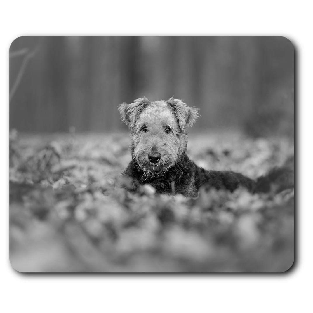 Autumn Airedale Terrier Dog Puppy Mouse Mat Pad Computer PC Laptop Gaming Office Home Desk Accessory Gadget #36625