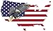 Rogue River Tactical American Eagle Sticker USA Flag Patriotic Stars and Stripes Car Window Auto Bumper Sticker Vinyl Decal (10x6 Large)