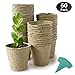 GROWNEER 4 Inch 60 Pcs Peat Pots Seed Starter