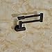 Rozin Wall Mount Swivel Folding Spout Kitchen Faucet Single Cold Water Sink Tap Oil Rubbed Bronze