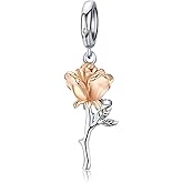 BABAMIA Rose Charm Heart Charms for Bracelets 925 Sterling Silver Bead Charm Fits Bracelets and Necklaces Paved with Cubic Zirconia Animal Skull Charm Dainty Halloween Charms Jewelry for Women Girls