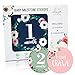 Baby Monthly Milestone Stickers | 20 Premium Floral Stickers for First Year | Includes 12 Month Stickers and 8 Milestone Stickers | New Mom Baby Shower Gift | New Baby Photo Prop Onesie Belly Stickers
