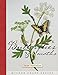 Stumpwork Butterflies & Moths (Milner Craft Series) by 