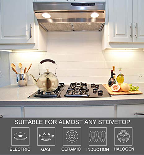 OMGard Gold Tea Pot with Infuser Loose Tea Leaf Filter 2 Liter Stainless Steel Teapot Coffee Water Small Kettle Strainer Set Warmer Teakettle for Stovetop Induction Stove Top 2.1 Quart / 68 Ounce