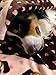 Snuggle Puppy Blanket for Pets - Cozy Dog Blanket for Small Dogs - Machine Washable Dog Blanket