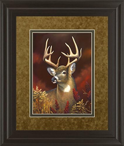 Classy Art DM5365 "Deer Portrait" Framed Prints By Leo Stans
