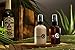 Oil and Lotion for Beards Gift Value Pack by Beardsley and Company