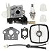 Buckbock RB-K84 Carburetor with Air Filter Gasket Fuel Repower Kit for Echo PE265 PPT265 PAS265 SHC265 HCA265 SRM265 SRM265S SRM265T SRM265U A021001200 Trimmer Weedeater primary