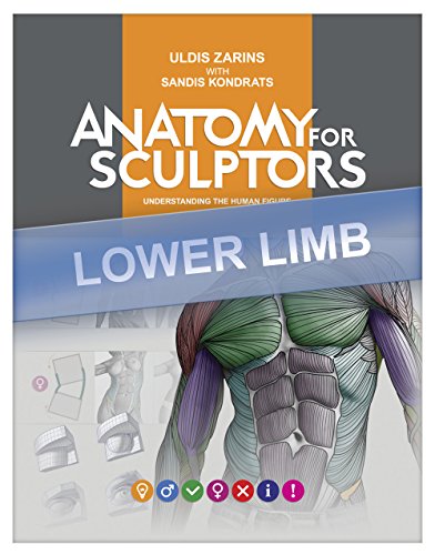 Buy Lower Limb Anatomy For Artists Understanding The Human Form 