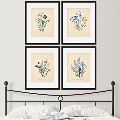 Vintage Wildflowers Set of 4 Unframed Floral Botanical Wall Home Decor Art