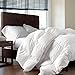 Luxurious Full/Queen Size Siberian Goose Down Comforter, 1200 Thread Count 100% Egyptian Cotton 750FP, 50oz, 1200TC, White Solid