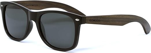 nice sunglasses brands for men