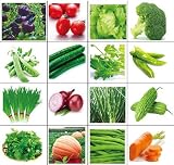 Golden autumn farm- Organic vegetable seeds set -16/ ORGANIC NON-GMO Easy-to-Grow vegetable Seeds