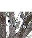 National Hardware N197-152 V2016 Screw Eye in Stainless Steel