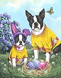 Boston Terrier Spring Bunny-GF