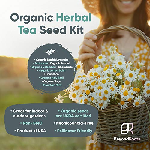 Herbal Tea Seeds Variety Pack 10 Medicinal Herbs Seed Packets