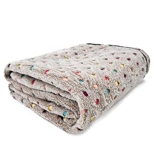 Image of PAWZ Road Pet Dog Blanket Fleece Fabric Soft and Cute Grey L