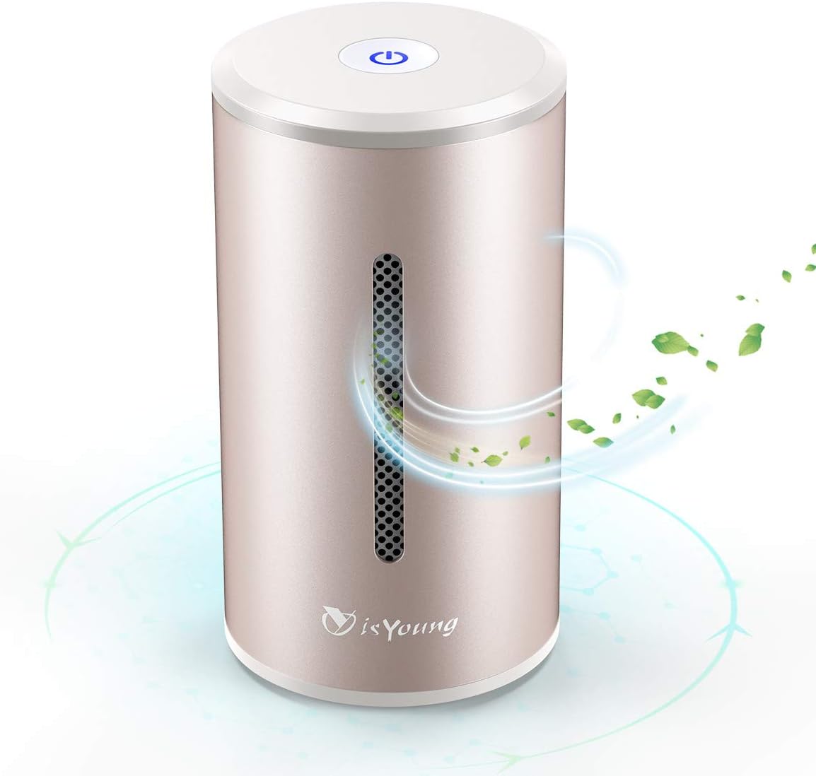 isYoung Air Purifier with True Hepa Filter, Odor Allergies Eliminator, Air Cleaner for Smokers, Smoke, Dust, Mold, Home and Pets (Gold)