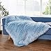 Ashler faux fur rug, Fluffy Shaggy Area Rug Ultra Soft 3 x 5 Feet Rectangle Fur Rug Light Blue Fuzzy Rug Machine Washable Shag Rug, Nursery Decor Throw Rugs for Bedroom, kids room, Living Room