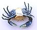 Blue Crab Enameled Jeweled Box, Package Includes a Tropical Magnet