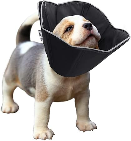amazon dog cone collar