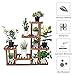 Greensen Wooden Plant Stand 5 Tier Flower Display Storage Shelves Rack Indoor Outdoor, Pots Holder for Garden Lawn Office Balcony, Brownthumb 4