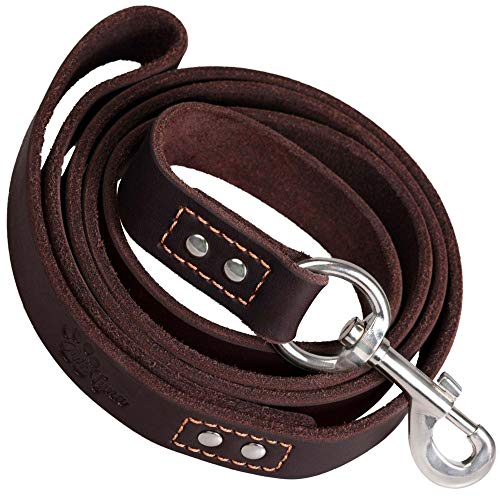ADITYNA - Heavy Duty Leather Dog Leash 6 Foot - Strong and Soft Leather Leash for Extra Large, Large and Medium Dogs - Dog Training Leash (XL - 6 ft x 1 inch, Brown)