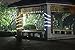 Solar Power Rope Lights, Waterproof, 99ft, 100 LED,6000K, String Light, Portable, with Light Sensor, Decoration, Christmas Tree, Thanksgiving, Wedding, Party, Garden, Lawn, Patio (Daylight White)