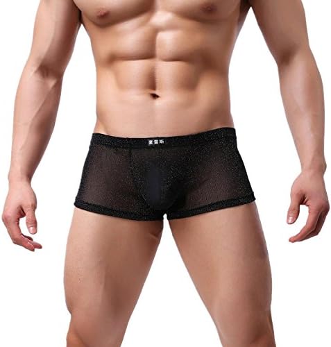 FeiliandaJJ Men's Boxer Briefs, Sexy Soft Perspective Mesh Comfortable Breathable Underwear