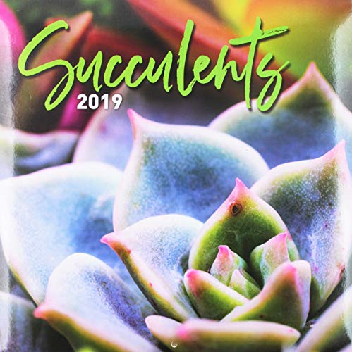 B.o.o.k Succulents 2019 Calendar ZIP