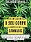 Livro Desinflacione O Seu Corpo Com Óleo De Cannabis - Aprender Sobre O Poderoso Efeito Do Óleo De Cbd Para Reduzir A Inflamação No Corpo E Melhorar A Saúde Em Geral