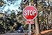 Enjoyist 2 Pack Stop Sign 12