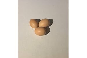 Barnyard Mix Fertile Chicken Hatching Eggs Raised on Organic (12 Eggs)