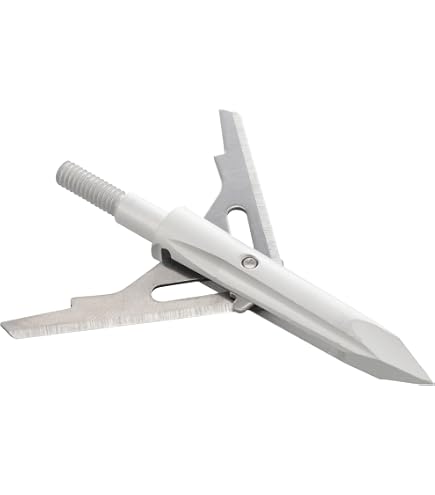 Amazon.com : NAP Verdict Broadhead / 100 Grain / 2